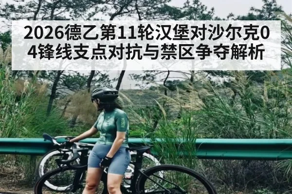 2026德乙第11轮汉堡对沙尔克04锋线支点对抗与禁区争夺解析